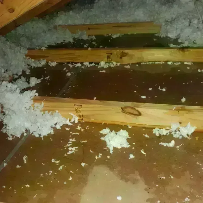 Attic Water Damage in Green Level, NC